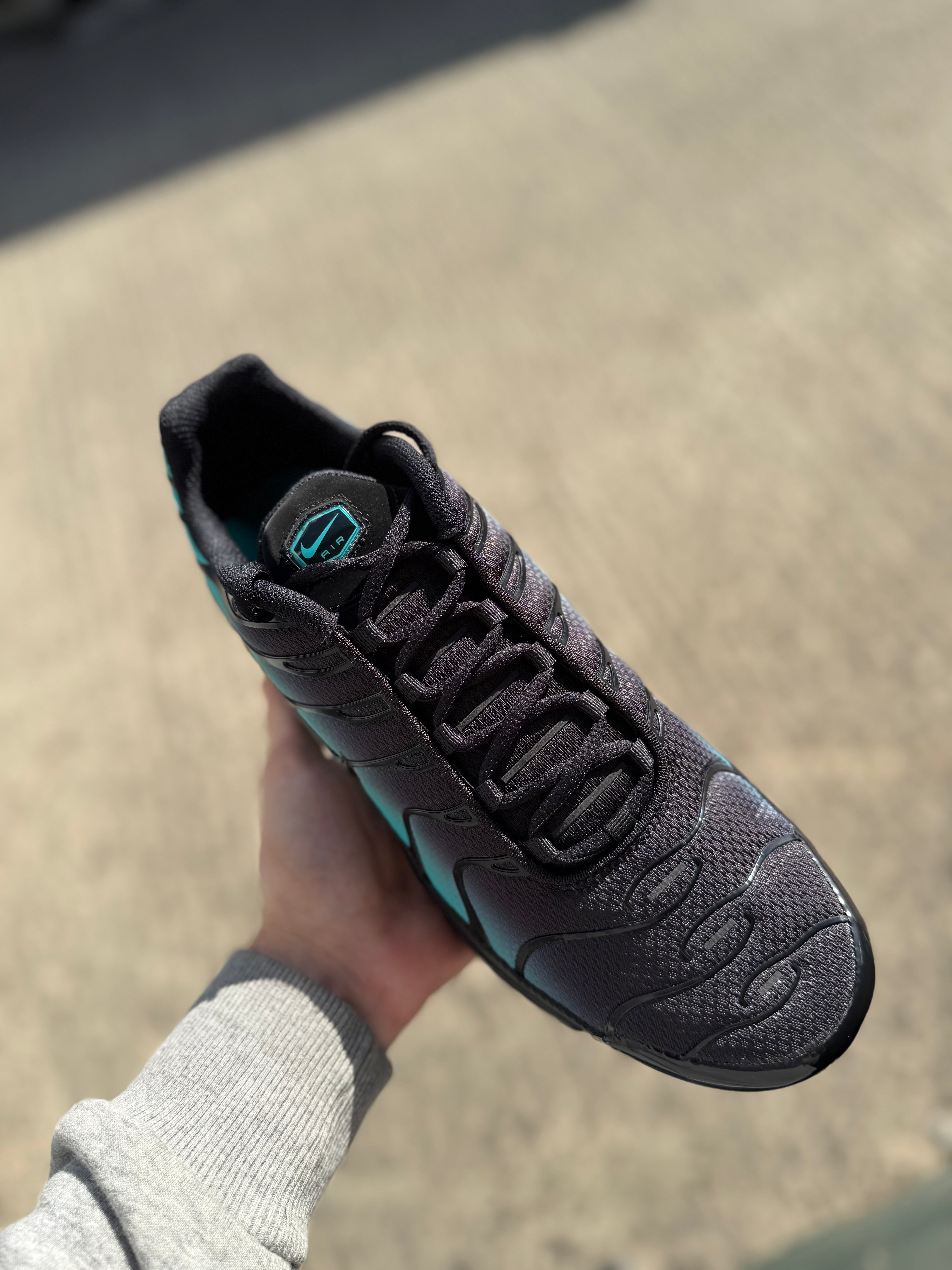 Nike Air Max Plus TN - 'Dusty Cactus'
